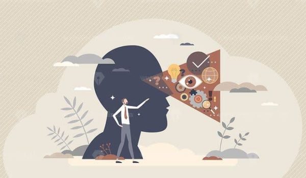 نظریه چشم‌انداز در تصمیم‌گیری‌های دانشجویی و کارآفرینی